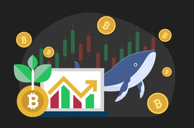 أكبر حيتان البيتكوين من صناديق ETF
